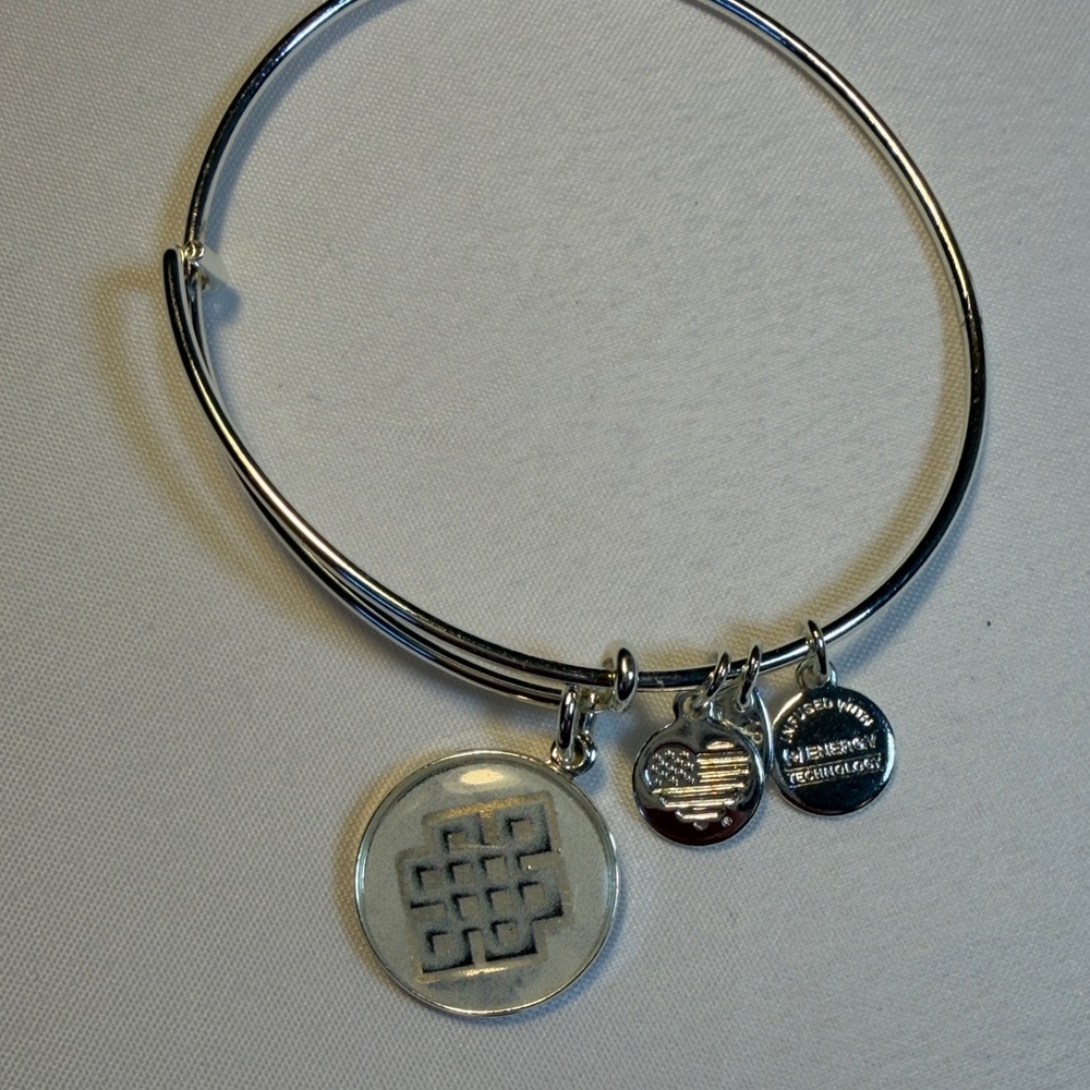 Alex and Ani Silver Charm Bracelet with Engraved Discs